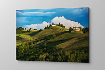 Obraz Francúzske vinohrady 1402